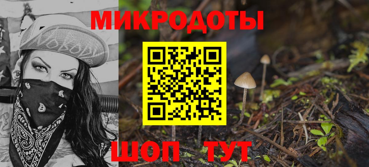 Галлюциногенные грибы Magic Shrooms  где купить наркотик  Шадринск  Вход с VPN  Галлюциногенные грибы GOLDEN TEACHER 